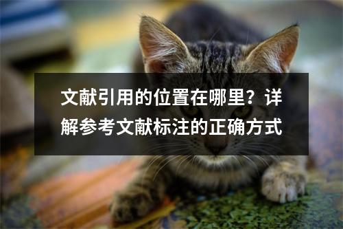 文献引用的位置在哪里？详解参考文献标注的正确方式